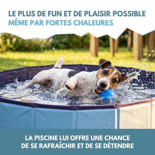Oasis de Fraîcheur - PISCINE pour chien Taille S