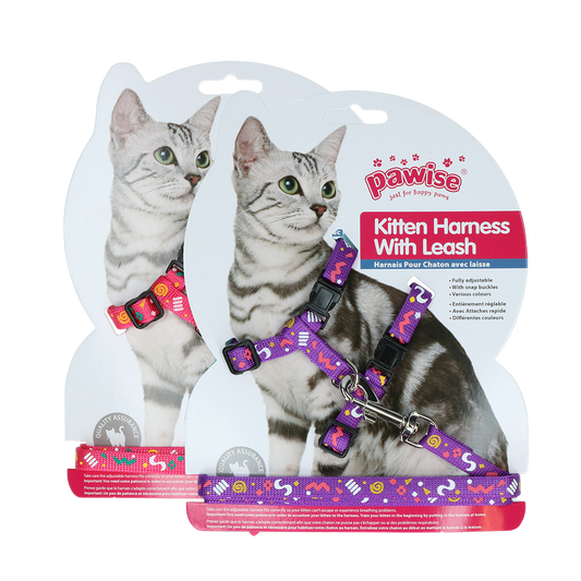 Harnais avec laisse pour Chaton – Liberté et sécurité en balade – Rose & Violet