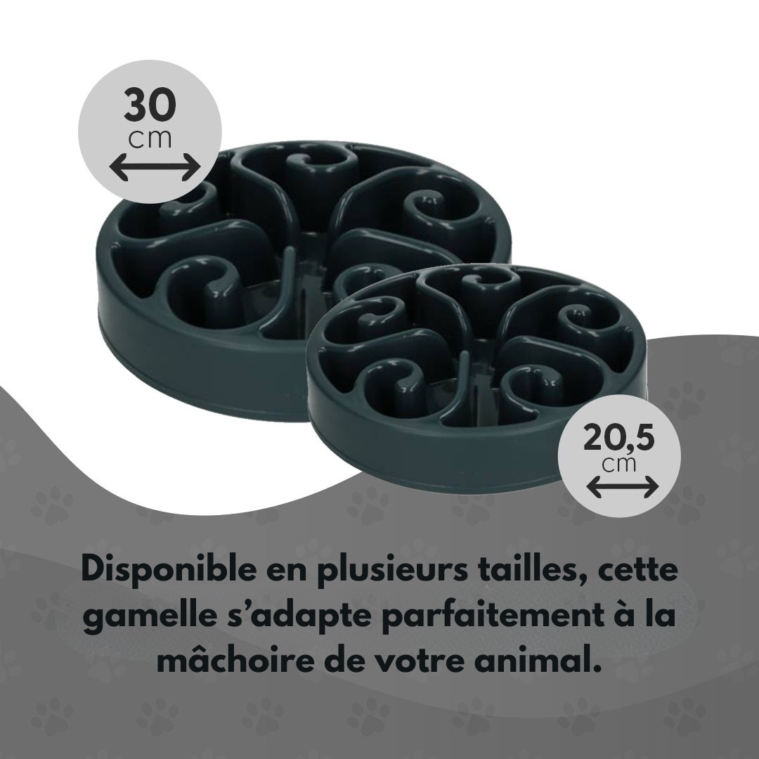 Gamelle Anti-Glouton - Taille L - Gris foncé