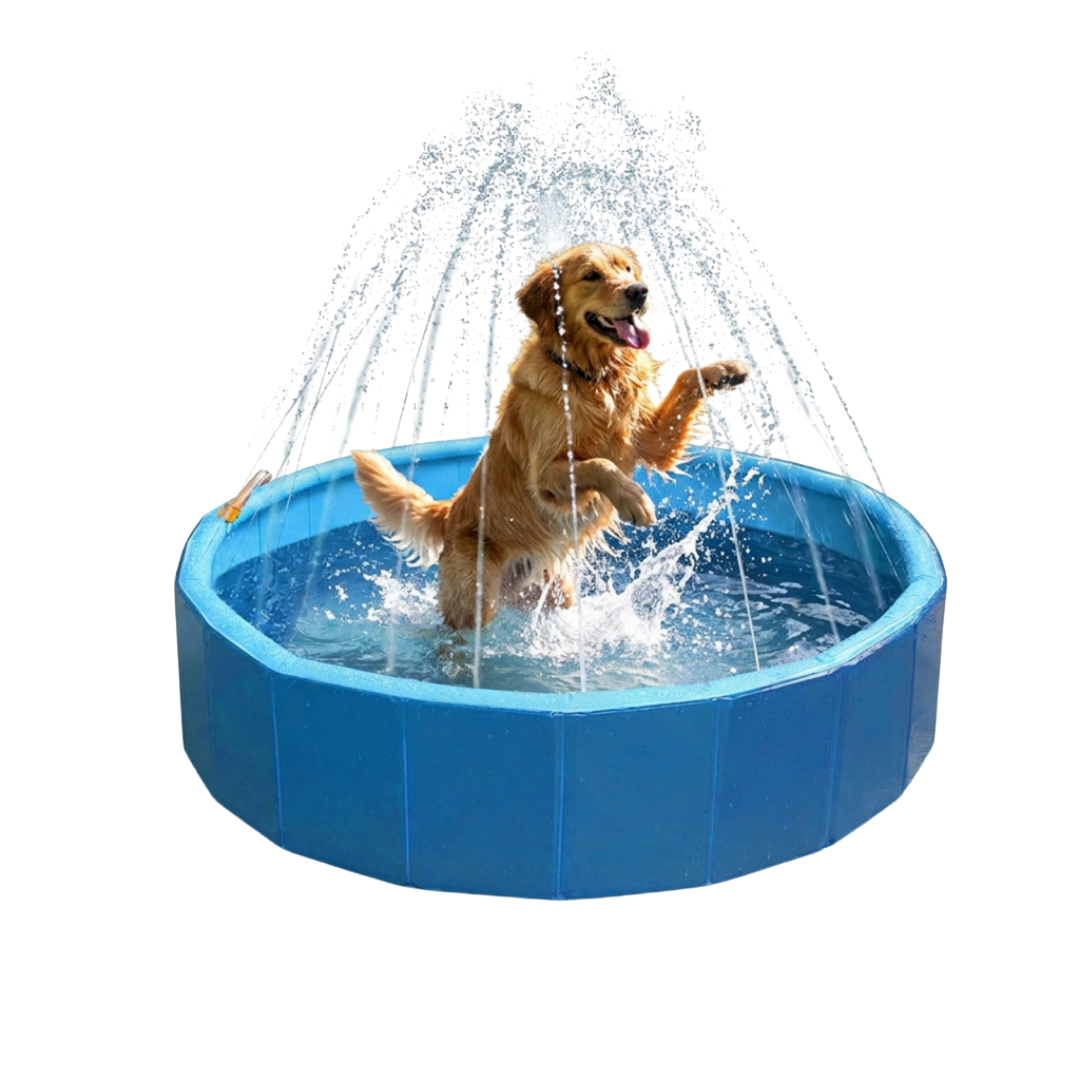 Piscine taille L pour Chien ❄️ BONUS jets d'eau intégrés optionnels 💦
