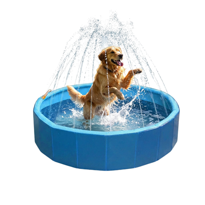 Piscine taille L pour Chien ❄️ BONUS jets d'eau intégrés optionnels 💦