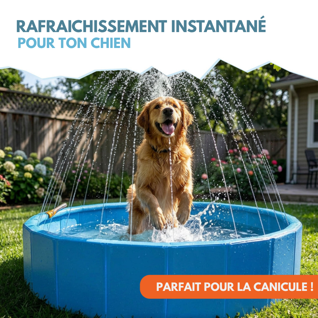 Piscine taille L pour Chien ❄️ BONUS jets d'eau intégrés optionnels 💦