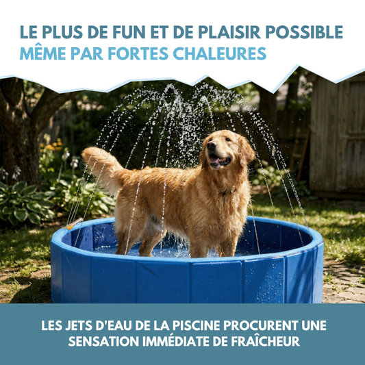 Piscine taille L pour Chien ❄️ BONUS jets d'eau intégrés optionnels 💦