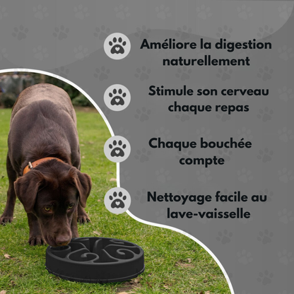 Gamelle Anti-Glouton - Taille L - Gris foncé