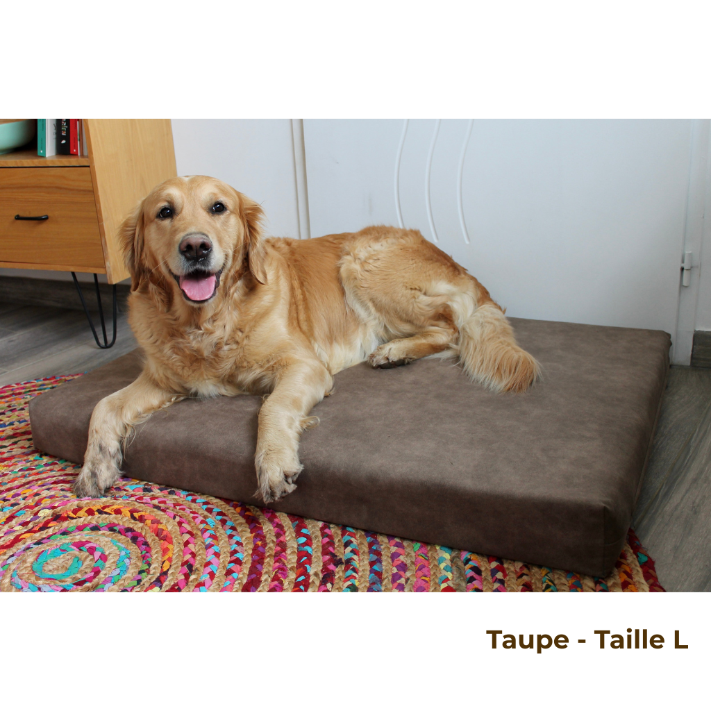 Matelas Orthopédique Grand Sommeil – Anthracite – Confort et Bien-Être en 3 Tailles 💤