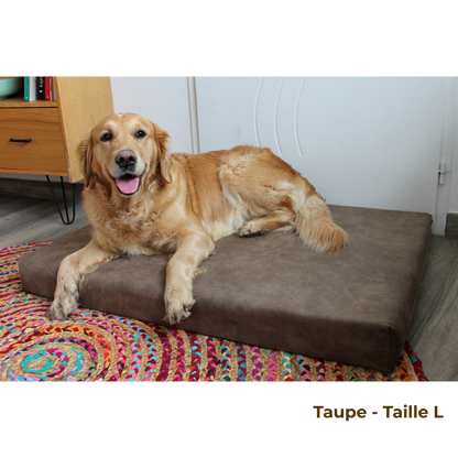 Matelas Orthopédique Grand Sommeil – Anthracite – Confort et Bien-Être en 3 Tailles 💤