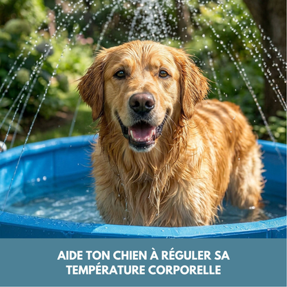 Piscine taille L pour Chien ❄️ BONUS jets d'eau intégrés optionnels 💦
