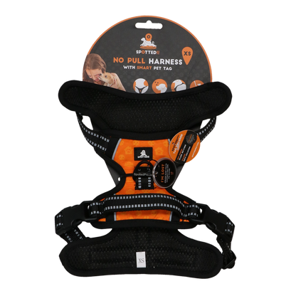 Harnais Spotted! Pro Anti-Traction Orange
