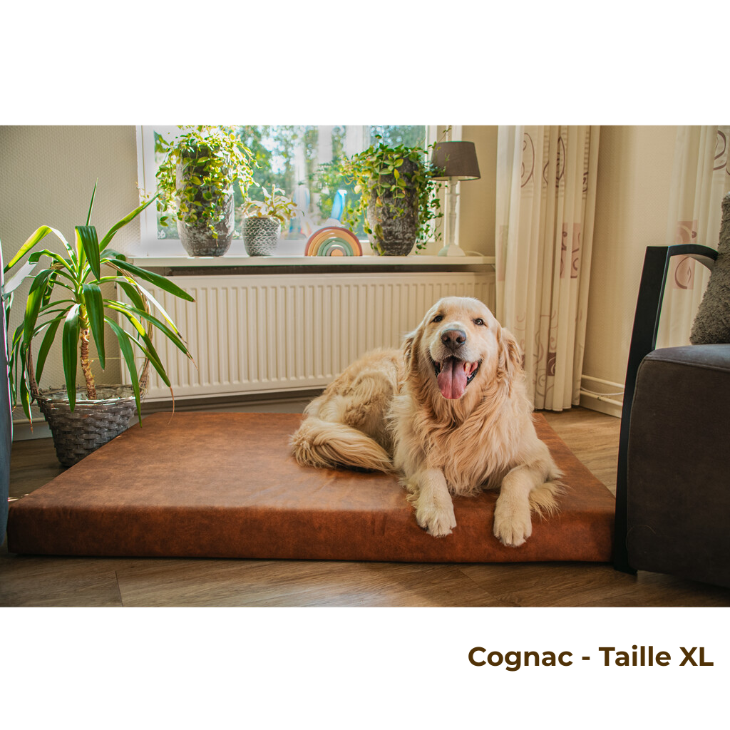 Matelas Orthopédique Grand Sommeil – Anthracite – Confort et Bien-Être en 3 Tailles 💤
