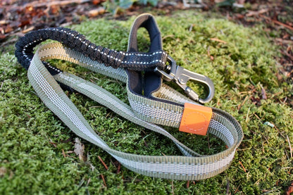 Kit Strong Adventure : Harnais + Collier + Laisse Amortisseur – Vert Olive 🌳