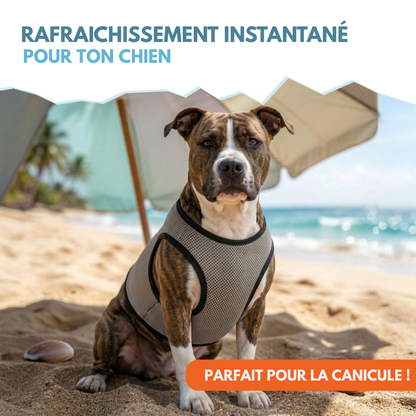 🥵 Kit Fraîcheur de Canicule ❄️ piscine + gilet rafraichissant + tapis de léchage