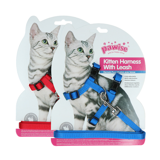 Harnais avec laisse pour Chat & Chaton – Liberté et sécurité en balade – Rouge ou Bleu