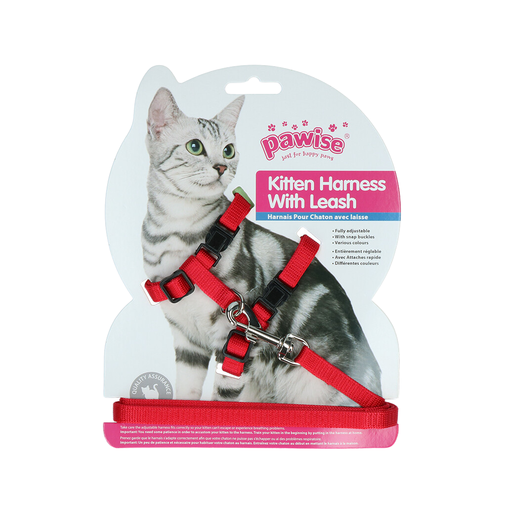 Harnais avec laisse pour Chat & Chaton – Liberté et sécurité en balade – Rouge ou Bleu
