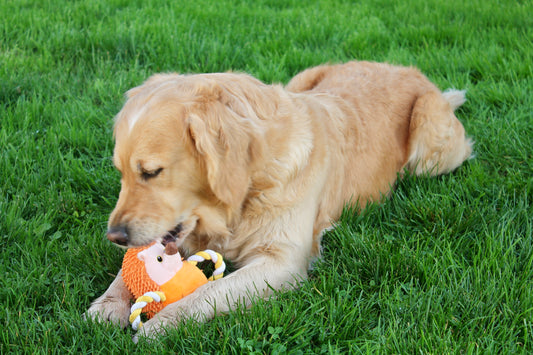 Ulysse le Hérisson - les Doudous Fuzzle