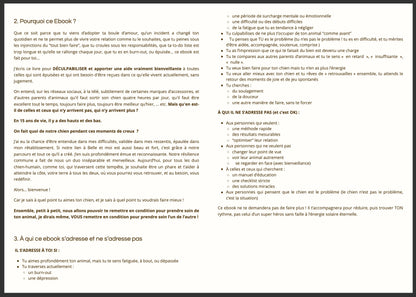 Ebook : Chien et Charge Mentale - De la culpabilité au plaisir retrouvé !