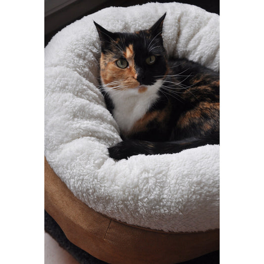 Le Coussin Cocon du Chat - 100% Cocooning
