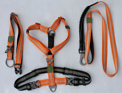 Kit Strong Adventure : Harnais + Collier + Laisse Amortisseur – Mandarine 🍊🏕