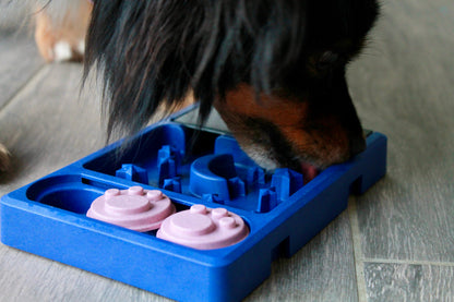 Pack Exploration - Lot des 4 Mini Puzzles Assemblables