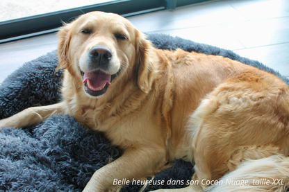 Coussin Donut - Cocon Nuage M