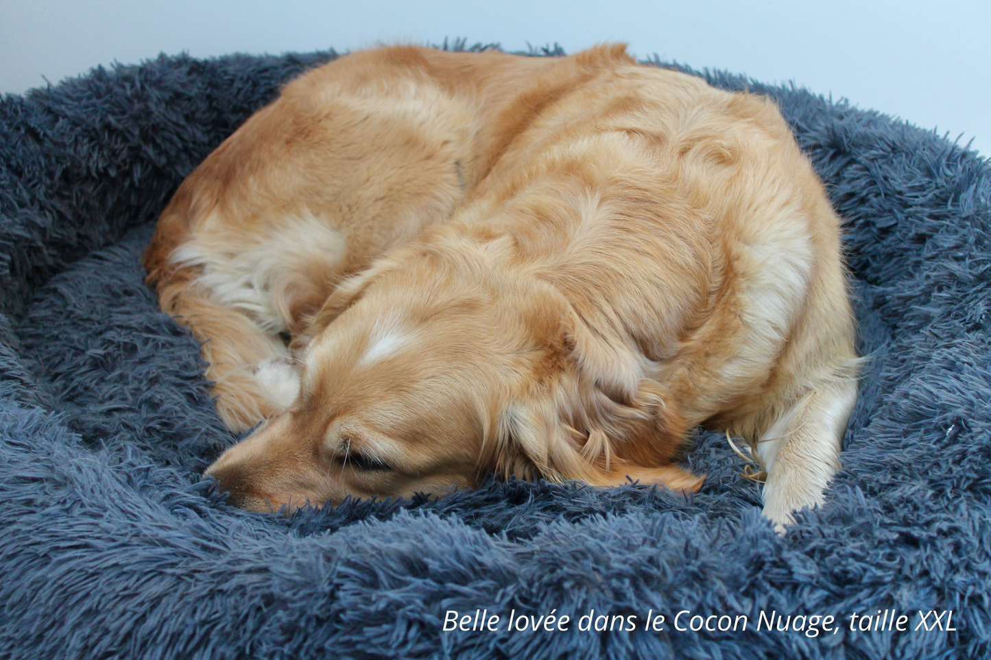 Coussin Donut - Cocon Nuage M