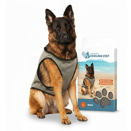 🌡️☀️ Gilet L Rafraîchissant ❄️ Effet IMMEDIAT pour chien