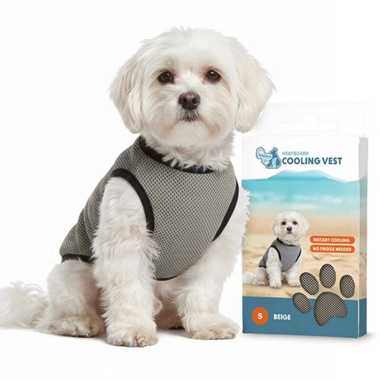 🌡️☀️ Gilet S Rafraîchissant ❄️ Effet IMMEDIAT pour chien