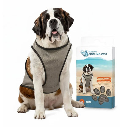🌡️☀️ Gilet XL Rafraîchissant ❄️ Effet IMMEDIAT pour chien
