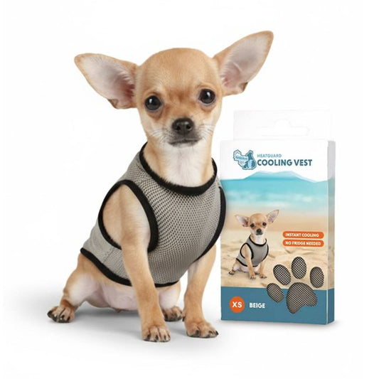 🌡️☀️ Gilet XS Rafraîchissant ❄️ Effet IMMEDIAT pour chien