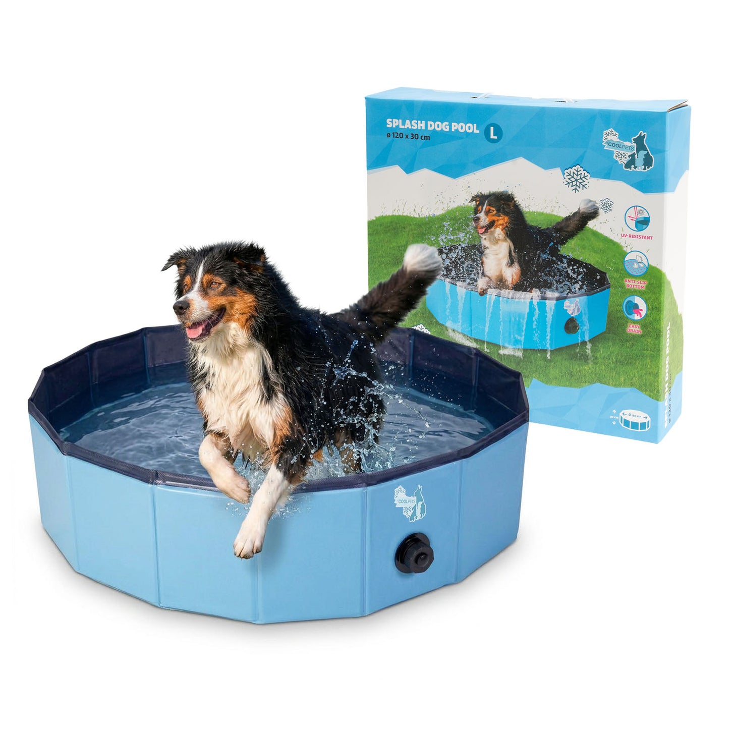 Oasis de Fraîcheur - PISCINE pour chien en Taille L