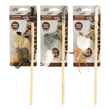 Le Kit Cocon du Chat 🐈