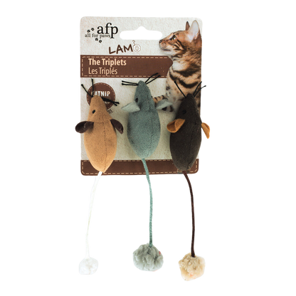 Le Kit Cocon du Chat 🐈