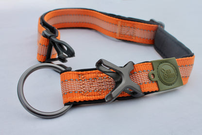 Collier Strong Adventure Couleur Mandarine – Confort & Résistance 🍊🐾