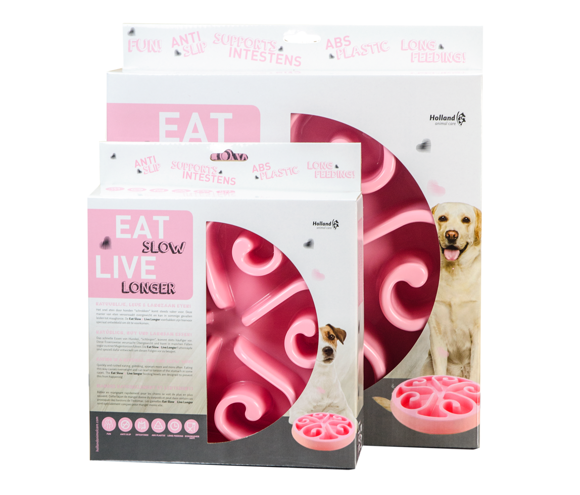 Gamelle Anti-Glouton - Taille S - Rose