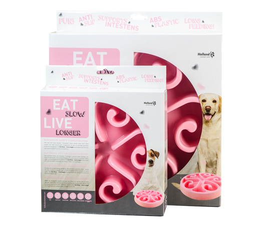 Gamelle Anti-Glouton - Taille L - Rose