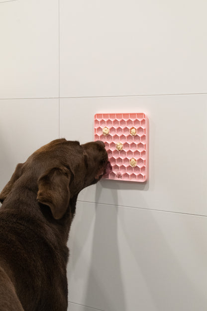 Tapis de Léchage Nid d'Abeille pour Chien & Chat - Gris foncé