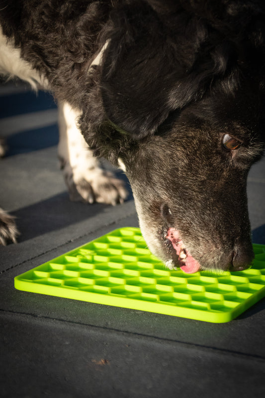 Tapis de Léchage Nid d'Abeille pour Chien & Chat - Vert