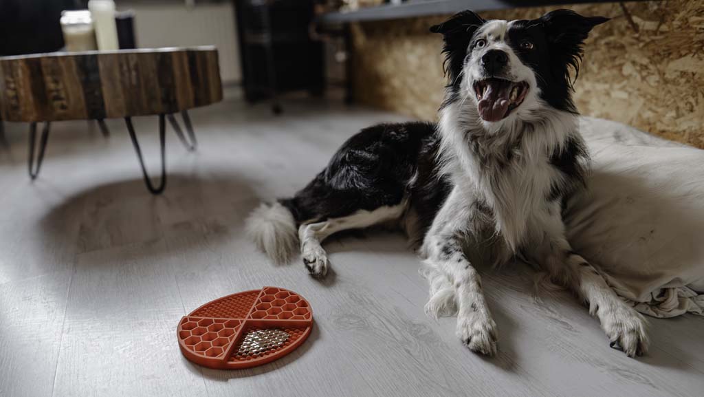 Tapis de Léchage Cercle en Nid d'Abeille & Douce Collines pour Chat et Chien - Rouge