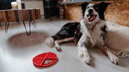 Tapis de Léchage Cercle en Nid d'Abeille & Douce Collines pour Chat et Chien - Rouge