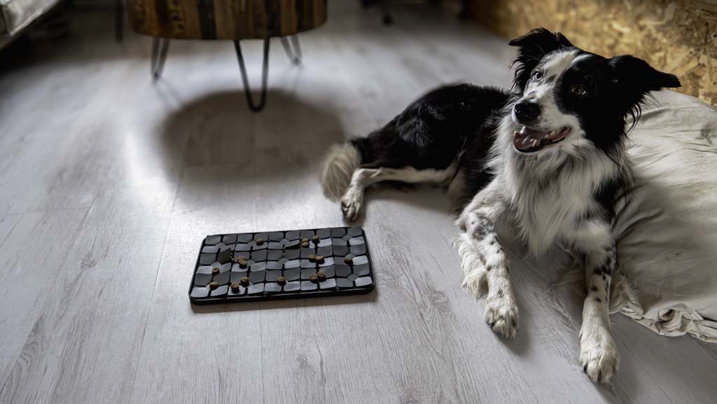 Tapis de Léchage Pétales de Fleurs Niveau difficile - Gris foncé