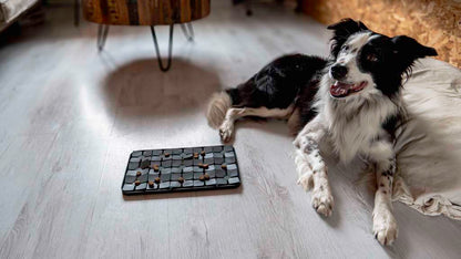Tapis de Léchage Pétales de Fleurs Niveau difficile - Gris foncé