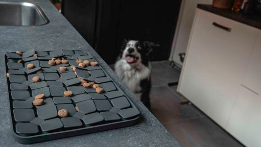 Tapis de Léchage Pétales de Fleurs Niveau difficile - Gris foncé