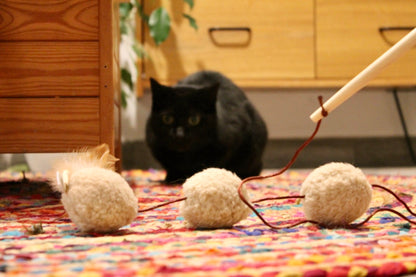 Canne Trio Frénétique - Canne à pêche pour Chat