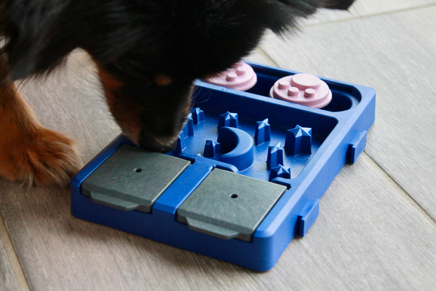 Pack Exploration - Lot des 4 Mini Puzzles Assemblables