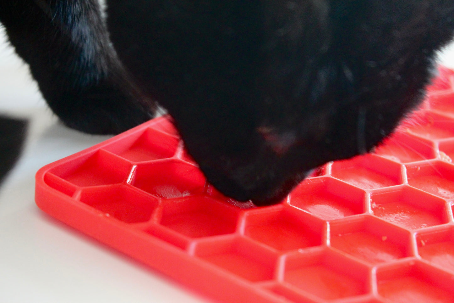 Tapis de Léchage Nid d'Abeille pour Chien & Chat - Rouge