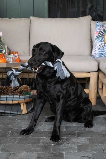 Corde DentaCool - Ultra-Tressée à 3 nœuds 55 cm