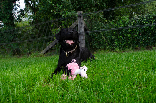 Rosie la vache - les Doudous Fuzzle