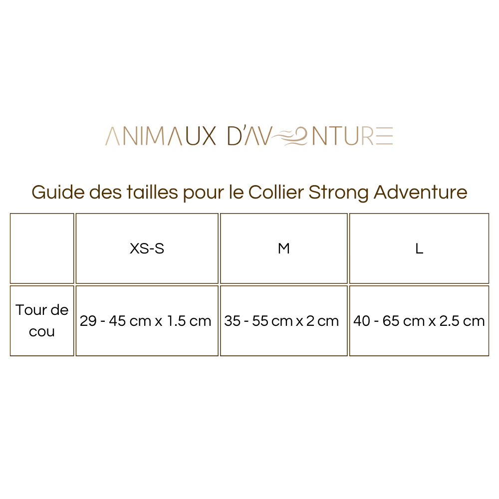 Collier Strong Adventure Couleur Mandarine – Confort & Résistance 🍊🐾