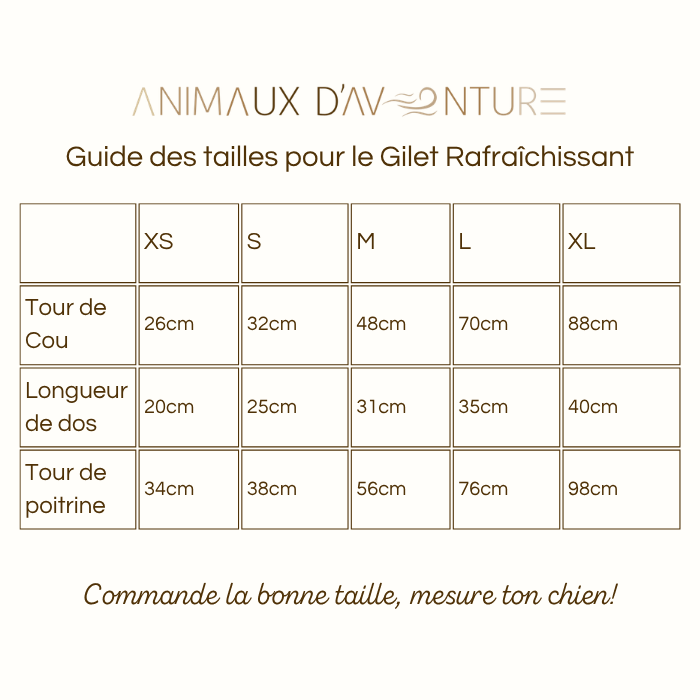 🌡️☀️ Gilet M Rafraîchissant ❄️ Effet IMMEDIAT pour chien