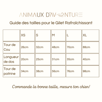 🌡️☀️ Gilet M Rafraîchissant ❄️ Effet IMMEDIAT pour chien