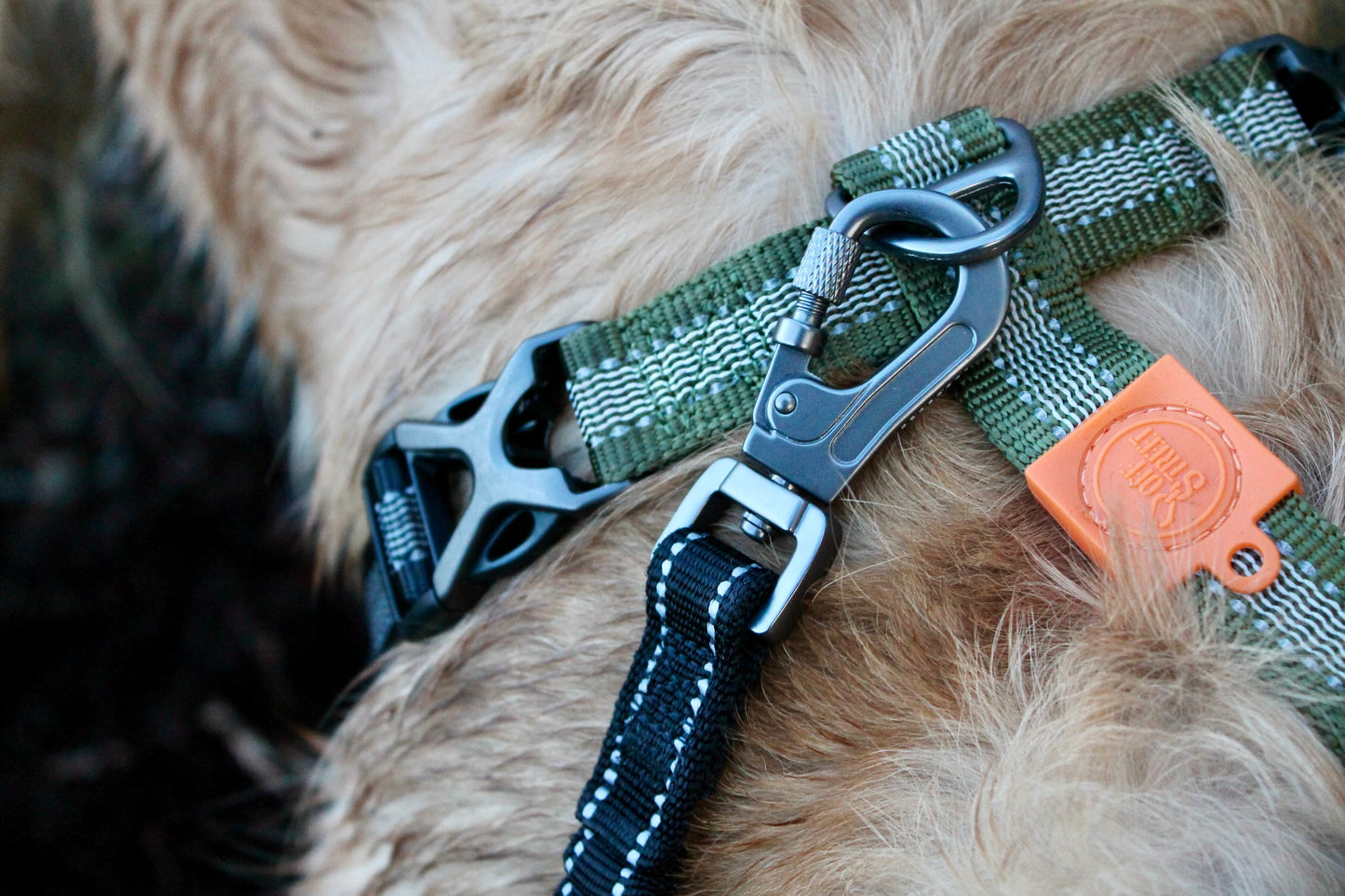 Harnais Strong Adventure - Vert Olive 🌲 & Mandarine 🍊🐾